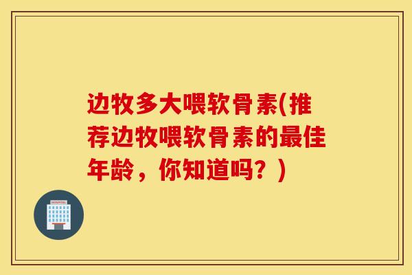 边牧多大喂软骨素(推荐边牧喂软骨素的佳年龄，你知道吗？)