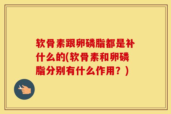 软骨素跟卵磷脂都是补什么的(软骨素和卵磷脂分别有什么作用？)