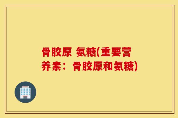 骨胶原 氨糖(重要营养素:骨胶原和氨糖) 骨胶原 氨糖(重要营养素:骨胶原和氨糖)