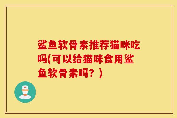 鲨鱼软骨素推荐猫咪吃吗(可以给猫咪食用鲨鱼软骨素吗？)