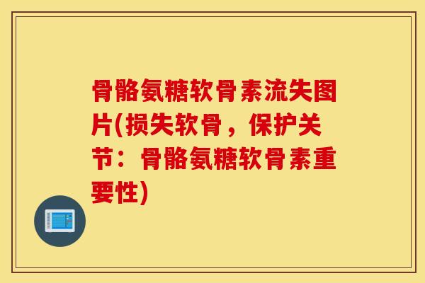 骨骼氨糖软骨素流失图片(损失软骨,保护关节:骨骼氨糖软骨素重要性) 骨骼氨糖软骨素流失图片(损失软骨,保护关节:骨骼氨糖软骨素重要性)