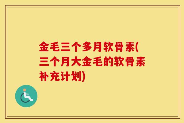 金毛三个多月软骨素(三个月大金毛的软骨素补充计划) 金毛三个多月软骨素(三个月大金毛的软骨素补充计划)