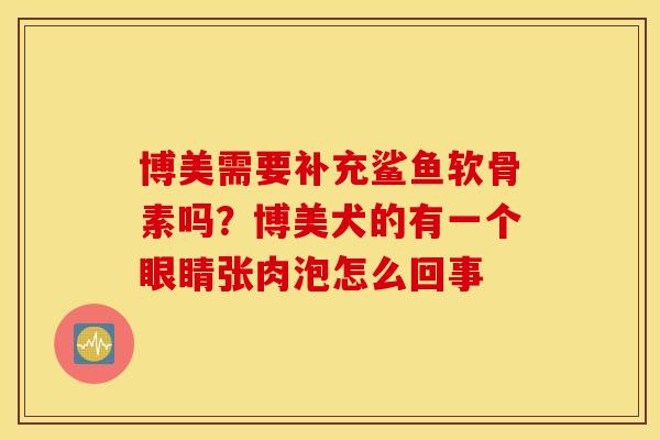 博美需要补充鲨鱼软骨素吗？博美犬的有一个眼睛张肉泡怎么回事