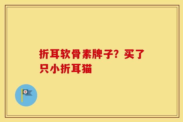 折耳软骨素牌子?买了只小折耳猫 折耳软骨素牌子?买了只小折耳猫