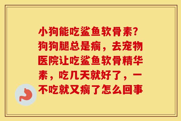 小狗能吃鲨鱼软骨素？狗狗腿总是瘸，去宠物医院让吃鲨鱼软骨精华素，吃几天就好了，一不吃就又瘸了怎么回事