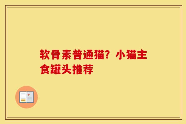 软骨素普通猫?小猫主食罐头推荐 软骨素普通猫?小猫主食罐头推荐