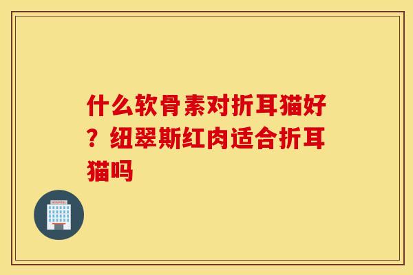 什么软骨素对折耳猫好?纽翠斯红肉适合折耳猫吗 什么软骨素对折耳猫好?纽翠斯红肉适合折耳猫吗