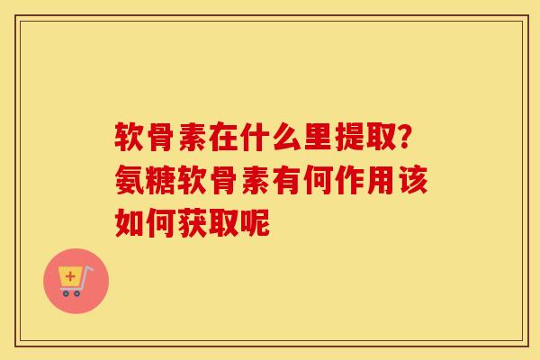 软骨素在什么里提取?氨糖软骨素有何作用该如何获取呢 软骨素在什么里提取?氨糖软骨素有何作用该如何获取呢