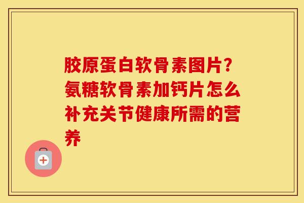 胶原蛋白软骨素图片?氨糖软骨素加钙片怎么补充关节健康所需的营养 胶原蛋白软骨素图片?氨糖软骨素加钙片怎么补充关节健康所需的营养