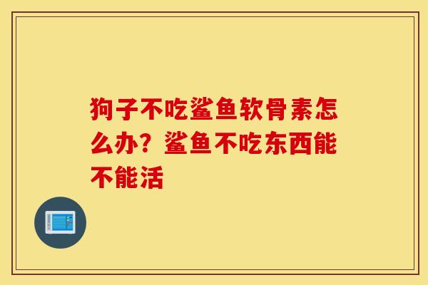 狗子不吃鲨鱼软骨素怎么办?鲨鱼不吃东西能不能活 狗子不吃鲨鱼软骨素怎么办?鲨鱼不吃东西能不能活