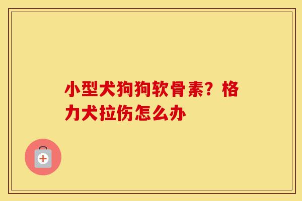 小型犬狗狗软骨素?格力犬拉伤怎么办 小型犬狗狗软骨素?格力犬拉伤怎么办
