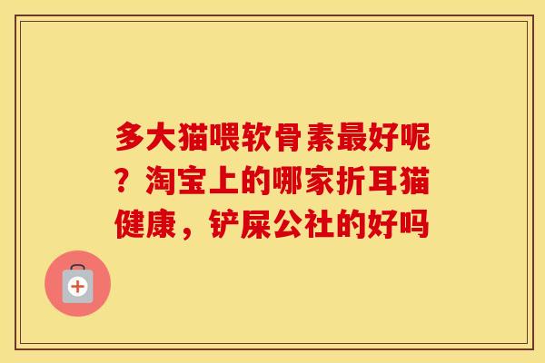 多大猫喂软骨素好呢?淘宝上的哪家折耳猫健康,铲屎公社的好吗 多大猫喂软骨素好呢?淘宝上的哪家折耳猫健康,铲屎公社的好吗