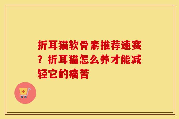 折耳猫软骨素推荐速赛?折耳猫怎么养才能减轻它的痛苦 折耳猫软骨素推荐速赛?折耳猫怎么养才能减轻它的痛苦