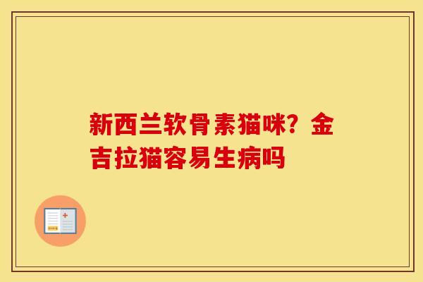 新西兰软骨素猫咪？金吉拉猫容易生吗