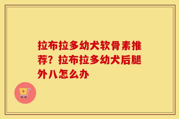 拉布拉多幼犬软骨素推荐？拉布拉多幼犬后腿外八怎么办
