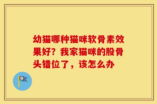 幼猫哪种猫咪软骨素效果好?我家猫咪的股骨头错位了,该怎么办 幼猫哪种猫咪软骨素效果好?我家猫咪的股骨头错位了,该怎么办