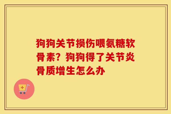 狗狗关节损伤喂氨糖软骨素?狗狗得了怎么办 狗狗关节损伤喂氨糖软骨素?狗狗得了怎么办