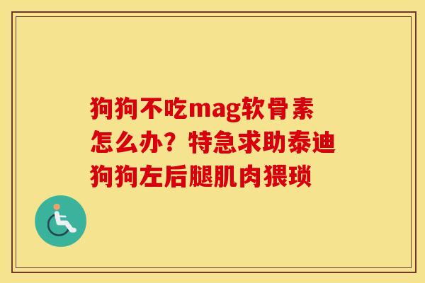 狗狗不吃mag软骨素怎么办?特急求助泰迪狗狗左后腿肌肉猥琐 狗狗不吃mag软骨素怎么办?特急求助泰迪狗狗左后腿肌肉猥琐