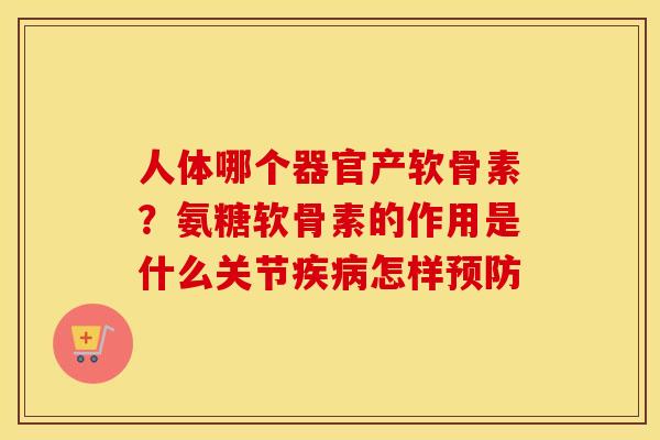 人体哪个器官产软骨素?氨糖软骨素的作用是什么关节怎样 人体哪个器官产软骨素?氨糖软骨素的作用是什么关节怎样