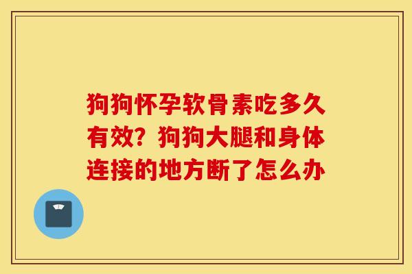 狗狗怀孕软骨素吃多久有效?狗狗大腿和身体连接的地方断了怎么办 狗狗怀孕软骨素吃多久有效?狗狗大腿和身体连接的地方断了怎么办