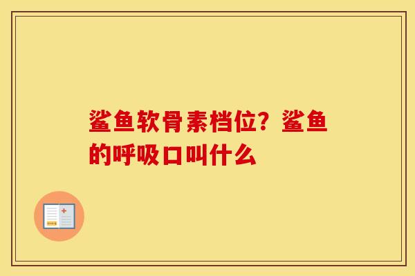 鲨鱼软骨素档位?鲨鱼的口叫什么 鲨鱼软骨素档位?鲨鱼的口叫什么