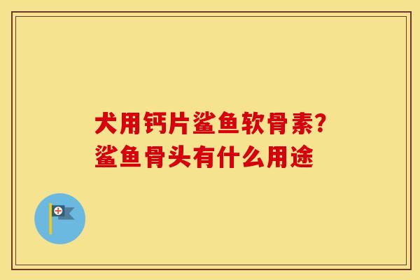 犬用钙片鲨鱼软骨素?鲨鱼骨头有什么用途 犬用钙片鲨鱼软骨素?鲨鱼骨头有什么用途