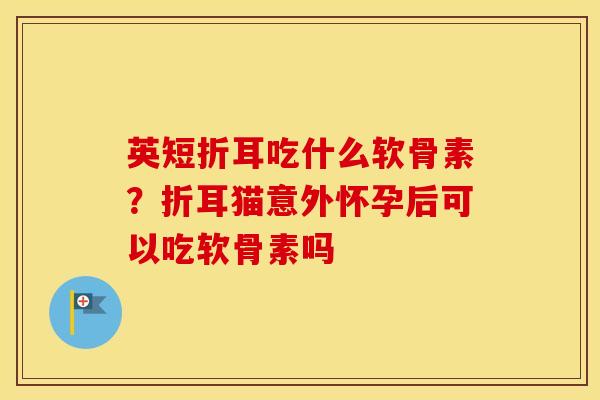 英短折耳吃什么软骨素?折耳猫意外怀孕后可以吃软骨素吗 英短折耳吃什么软骨素?折耳猫意外怀孕后可以吃软骨素吗