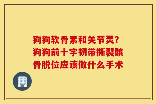 狗狗软骨素和关节灵?狗狗前十字韧带撕裂髌骨脱位应该做什么手术 狗狗软骨素和关节灵?狗狗前十字韧带撕裂髌骨脱位应该做什么手术