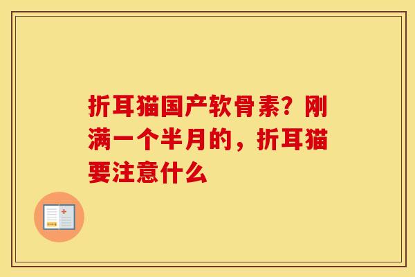 折耳猫国产软骨素?刚满一个半月的,折耳猫要注意什么 折耳猫国产软骨素?刚满一个半月的,折耳猫要注意什么