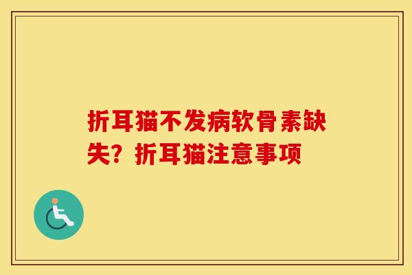 折耳猫不发软骨素缺失?折耳猫注意事项 折耳猫不发软骨素缺失?折耳猫注意事项