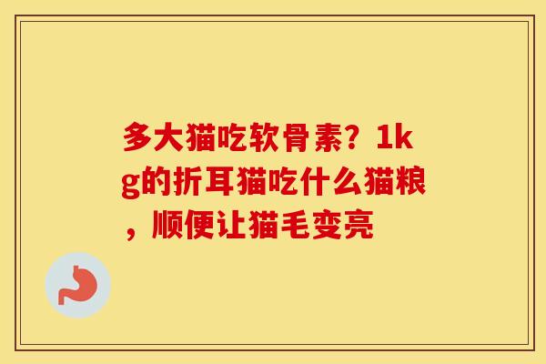 多大猫吃软骨素?1kg的折耳猫吃什么猫粮,顺便让猫毛变亮 多大猫吃软骨素?1kg的折耳猫吃什么猫粮,顺便让猫毛变亮