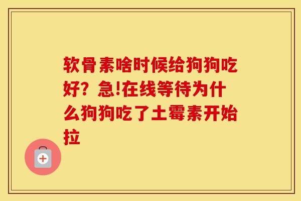 软骨素啥时候给狗狗吃好?急!在线等待为什么狗狗吃了土霉素开始拉 软骨素啥时候给狗狗吃好?急!在线等待为什么狗狗吃了土霉素开始拉