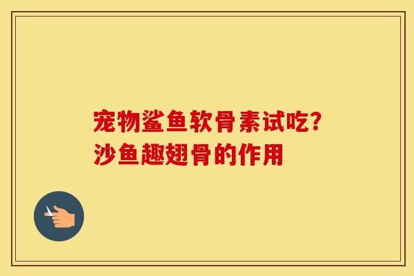 宠物鲨鱼软骨素试吃？沙鱼趣翅骨的作用