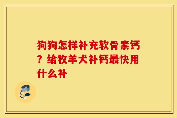狗狗怎样补充软骨素钙？给牧羊犬补钙快用什么补