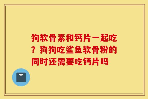 狗软骨素和钙片一起吃?狗狗吃鲨鱼软骨粉的同时还需要吃钙片吗 狗软骨素和钙片一起吃?狗狗吃鲨鱼软骨粉的同时还需要吃钙片吗