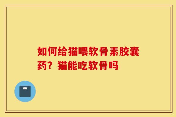 如何给猫喂软骨素胶囊药？猫能吃软骨吗