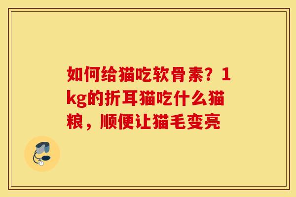 如何给猫吃软骨素?1kg的折耳猫吃什么猫粮,顺便让猫毛变亮 如何给猫吃软骨素?1kg的折耳猫吃什么猫粮,顺便让猫毛变亮
