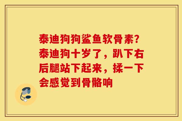 泰迪狗狗鲨鱼软骨素?泰迪狗十岁了,趴下右后腿站下起来,揉一下会感觉到骨骼响 泰迪狗狗鲨鱼软骨素?泰迪狗十岁了,趴下右后腿站下起来,揉一下会感觉到骨骼响