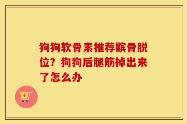 狗狗软骨素推荐髌骨脱位?狗狗后腿筋掉出来了怎么办 狗狗软骨素推荐髌骨脱位?狗狗后腿筋掉出来了怎么办