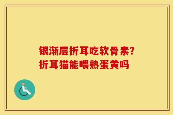 银渐层折耳吃软骨素?折耳猫能喂熟蛋黄吗 银渐层折耳吃软骨素?折耳猫能喂熟蛋黄吗