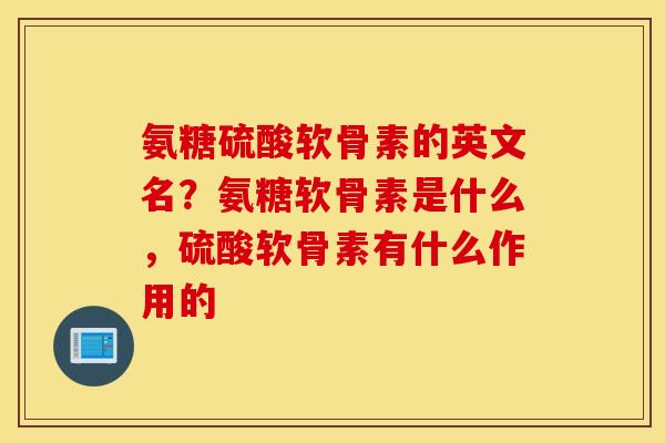 氨糖硫酸软骨素的英文名?氨糖软骨素是什么,硫酸软骨素有什么作用的 氨糖硫酸软骨素的英文名?氨糖软骨素是什么,硫酸软骨素有什么作用的