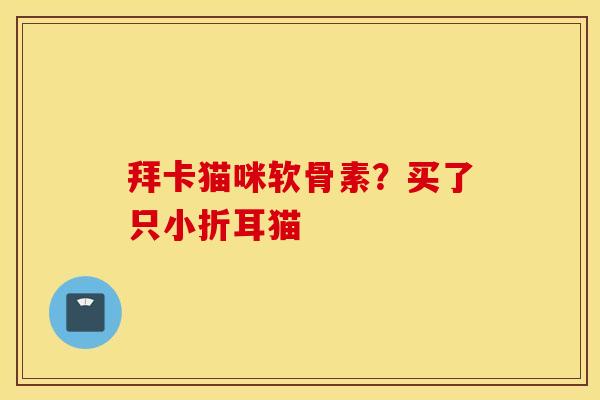 拜卡猫咪软骨素?买了只小折耳猫 拜卡猫咪软骨素?买了只小折耳猫