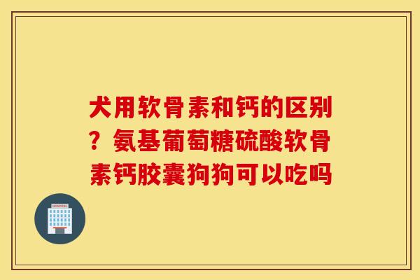 犬用软骨素和钙的区别？氨基葡萄糖硫酸软骨素钙胶囊狗狗可以吃吗