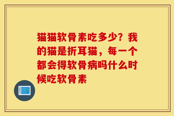 猫猫软骨素吃多少？我的猫是折耳猫，每一个都会得软骨吗什么时候吃软骨素