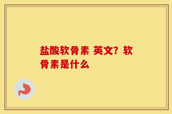 盐酸软骨素 英文？软骨素是什么