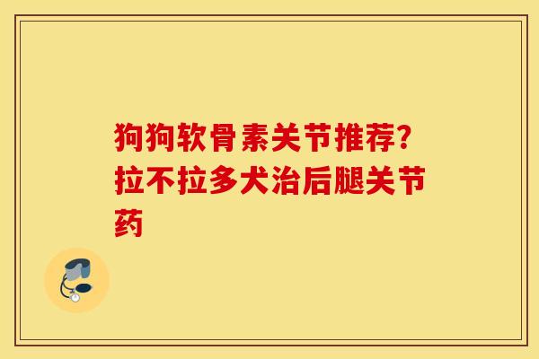 狗狗软骨素关节推荐？拉不拉多犬后腿关节药