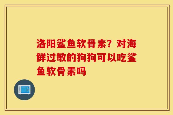 洛阳鲨鱼软骨素?对海鲜的狗狗可以吃鲨鱼软骨素吗 洛阳鲨鱼软骨素?对海鲜的狗狗可以吃鲨鱼软骨素吗