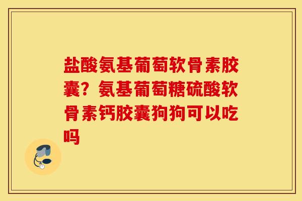 盐酸氨基葡萄软骨素胶囊？氨基葡萄糖硫酸软骨素钙胶囊狗狗可以吃吗
