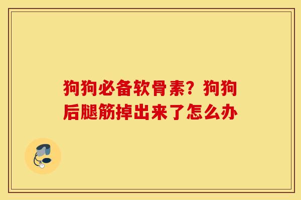 狗狗必备软骨素?狗狗后腿筋掉出来了怎么办 狗狗必备软骨素?狗狗后腿筋掉出来了怎么办