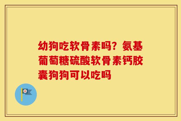 幼狗吃软骨素吗？氨基葡萄糖硫酸软骨素钙胶囊狗狗可以吃吗
